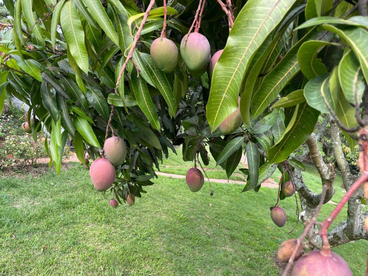 קופקבאנה Finca Hotel Villa Camila מראה חיצוני תמונה