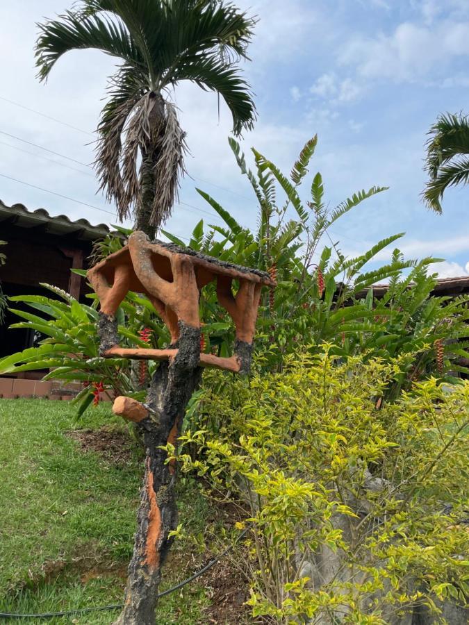 קופקבאנה Finca Hotel Villa Camila מראה חיצוני תמונה